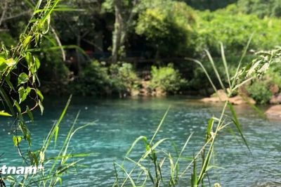 Khám phá Suối Nước Moọc - 'ốc đảo xanh' giữa lòng Phong Nha-Kẻ Bàng