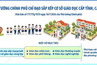 Thủ tướng Chính phủ chỉ đạo việc sắp xếp cơ sở giáo dục công lập cấp tỉnh, xã