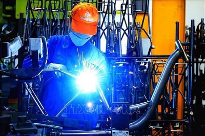 Phát huy động lực truyền thống, tạo đà cho tăng trưởng cuối năm