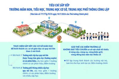 Tiêu chí sắp xếp trường mầm non, tiểu học, trung học cơ sở, trung học phổ thông công lập