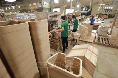 Bàn giải pháp gỡ điểm nghẽn phát triển vùng nguyên liệu cho ngành gỗ