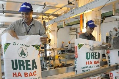 Đạm Hà Bắc báo lãi quý II/2026 gấp 15 lần, vẫn còn hơn 1.200 tỷ đồng lỗ lũy kế