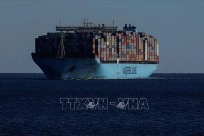 Maersk tạm ngừng hoạt động vận tải biển tại Ukraine