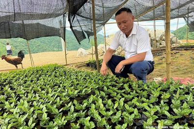 Người cũ của bản mới
