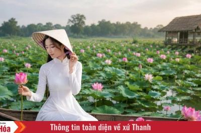 Trở về giữa mùa sen