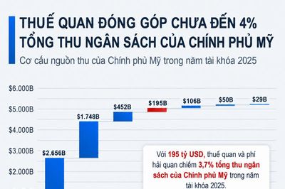 Thuế quan đóng góp chưa đến 4% tổng thu ngân sách Mỹ