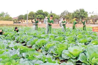 Lính xe tăng 'tăng gia giỏi'