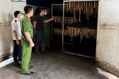 Bắc Ninh: Siết chặt từng khâu, ngăn sản phẩm động vật 'bẩn'