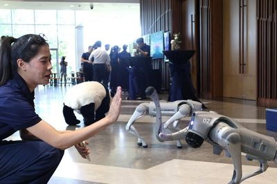 Chuẩn bị trình diễn hệ sinh thái công nghệ cho ngành khách sạn - nhà hàng HORECFEX Vietnam 2026 tại Đà Nẵng