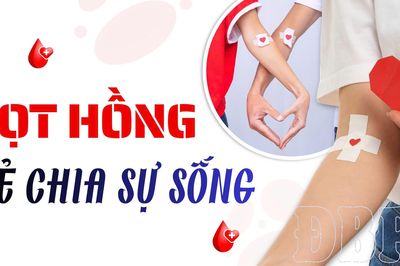 Giọt hồng sẻ chia sự sống