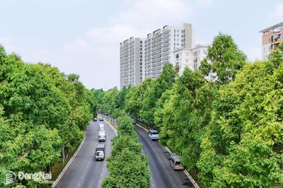 Vì một Đồng Nai xanh