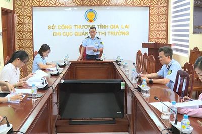 Gia Lai: Tiêu hủy hơn 3.000 sản phẩm là tang vật vi phạm hành chính