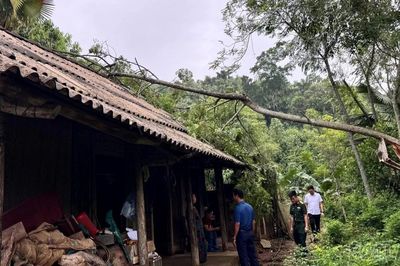 Khẩn trương hỗ trợ người dân khắc phục hậu quả dông lốc và mưa lớn