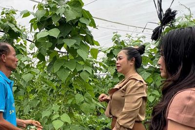 Liên kết sản xuất tạo sức bật cho nông nghiệp Tân Hà Lâm Hà