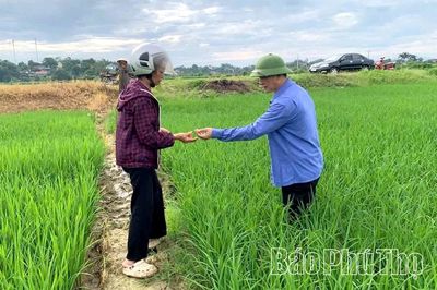 Cao điểm phòng trừ sinh vật gây hại lúa vụ Mùa