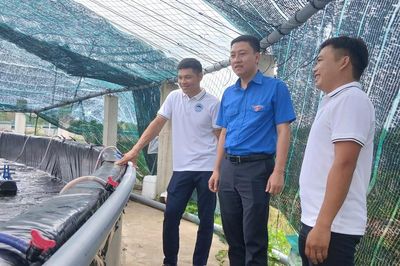 Đồng hành cùng thanh niên khởi nghiệp
