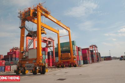 Chính phủ quy định Danh mục hàng hóa cấm xuất khẩu, cấm nhập khẩu