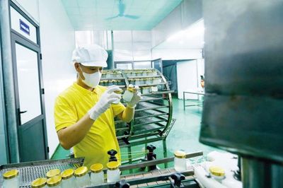 Tạo một khung thể chế vững chắc để bồi đắp năng lực nội sinh