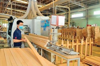 'Bán lúa non' khiến ngành gỗ thiếu nguyên liệu chế biến sâu