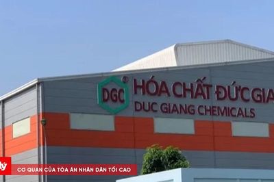 Thêm 3 lãnh đạo Hóa chất Đức Giang bị khởi tố, DGC giảm sàn
