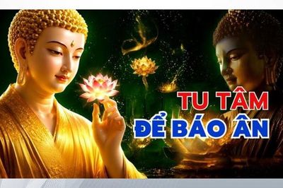 Tu tâm để báo ân là con đường cao quý