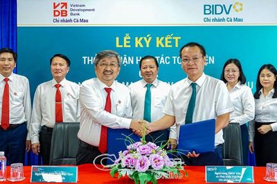 BIDV Cà Mau và VDB Cà Mau ký kết Thỏa thuận hợp tác toàn diện