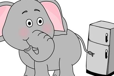 Làm thế nào để bỏ con voi vào tủ lạnh? Rất nhiều người trả lời sai