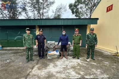 Quảng Ninh: Thu giữ 800kg nầm lợn đông lạnh không rõ nguồn gốc.