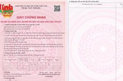 Các bước đơn giản để được cấp sổ đỏ lần đầu năm 2026