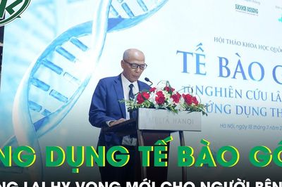 Ứng dụng tế bào gốc mang lại hy vọng mới cho người bệnh