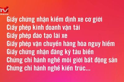 Đề xuất thêm 16 loại giấy tờ tích hợp lên VNeID trong năm 2026