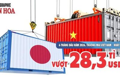 Việt Nam - Nhật Bản: Kim ngạch thương mại vượt 28,3 tỉ USD sau nửa đầu năm 2026