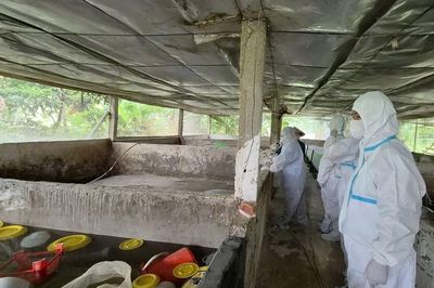 Tuyên Quang:Quy trách nhiệm chủ tịch xã, phường nếu để dịch bùng phát do chủ quan, lơ là