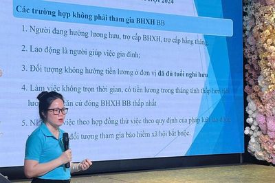 Tập huấn chính sách bảo hiểm xã hội, bảo hiểm y tế và Luật Việc làm cho doanh nghiệp ở Hà Nội