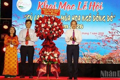 Khai mạc Lễ hội 'Cù Lao Chàm - Mùa hoa ngô đồng đỏ' năm 2026