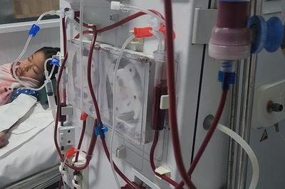 Những chiến binh bên máy lọc máu