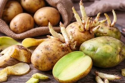 Gia đình 4 người nhập viện sau bát canh khoai tây mọc mầm, một người tử vong