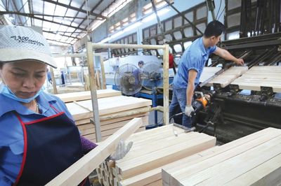 Định vị lại Việt Nam trong chuỗi giá trị ngành gỗ toàn cầu
