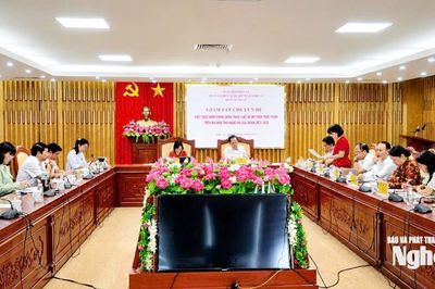 Đoàn Đại biểu Quốc hội tỉnh Nghệ An giám sát công tác quản lý an toàn thực phẩm