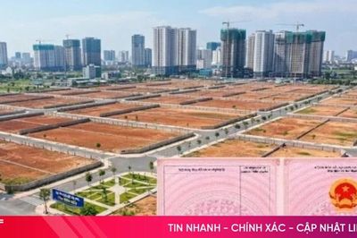 Đất nền dự án chưa có sổ riêng có chuyển nhượng được không?