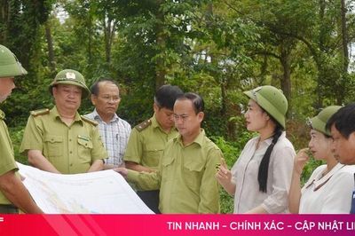 Khảo sát công tác bảo vệ rừng khu vực núi Hồng Lĩnh