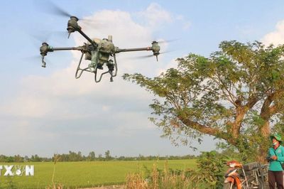 Bộ Nông nghiệp và Môi trường sẽ đào tạo trên 550.000 nông dân số