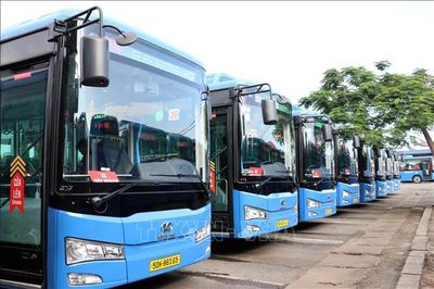 Xây dựng mạng lưới xe buýt kết nối sân bay Long Thành và Tân Sơn Nhất