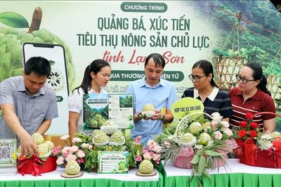 Đa dạng hình thức quảng bá và tiêu thụ đặc sản na núi đá Lạng Sơn