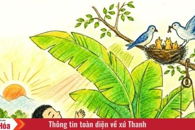 Điều kì diệu của khu vườn mùa hè