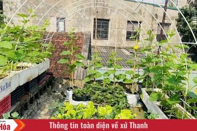 Không gian xanh trên sân thượng