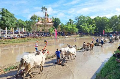 Chuyện đất, chuyện người Bảy Núi