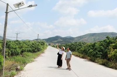 Lắp đặt hệ thống đèn chiếu sáng năng lượng mặt trời tại xã Lục Ngạn