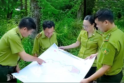 Bảo vệ 'Lá phổi xanh' của Đông Nam Bộ