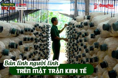 [Chuỗi video] Tháng Bảy tri ân: Bản lĩnh người cựu chiến binh trên mặt trận kinh tế
